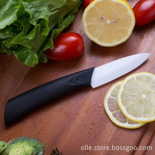 3'' Handy Fruit Peeling Knife